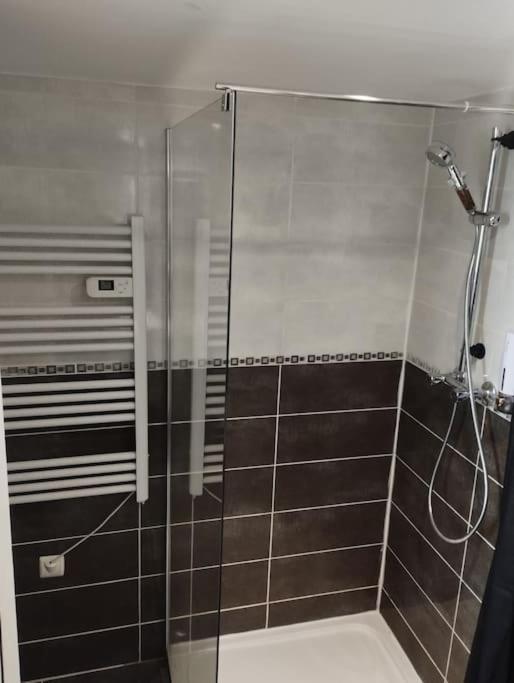 Appartement Coeur De Ville! Foix Bagian luar foto