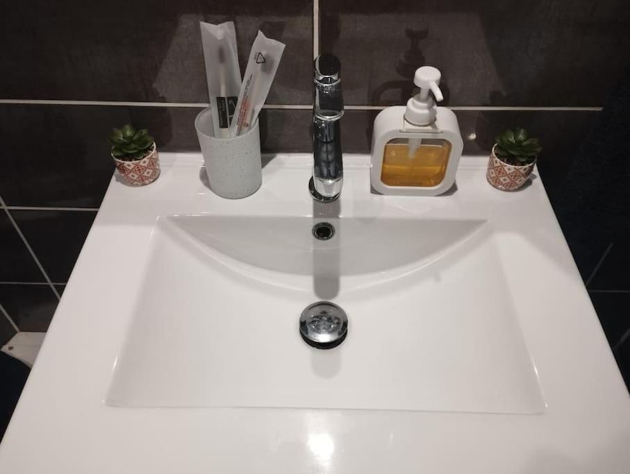 Appartement Coeur De Ville! Foix Bagian luar foto