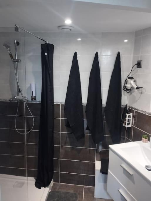 Appartement Coeur De Ville! Foix Bagian luar foto