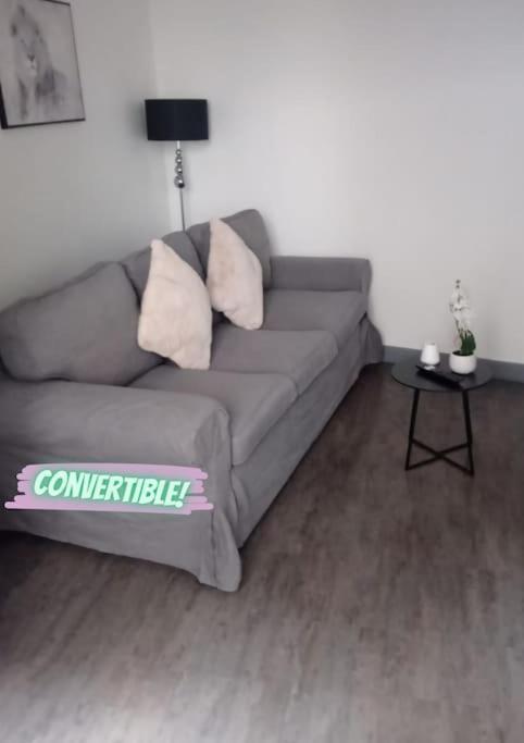Appartement Coeur De Ville! Foix Bagian luar foto